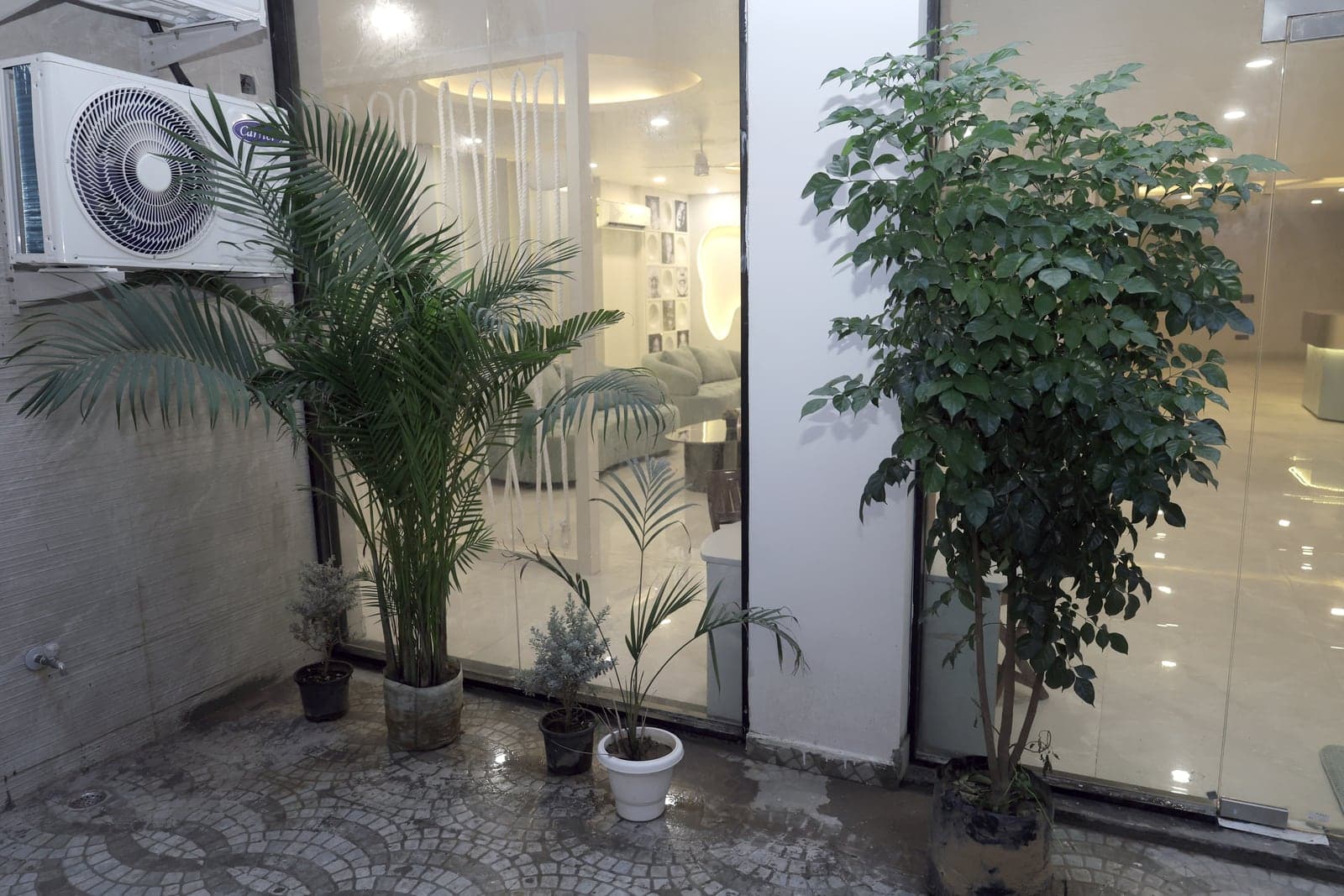 Entrance to The Tooth Cure